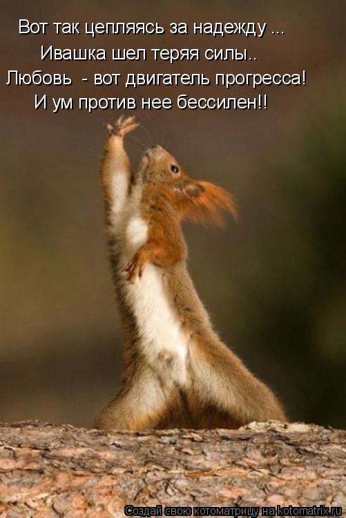Вот так цепляясь за надежду ... Ивашка шел теряя силы.. Любовь - вот двигатель прогресса! И ум проти... Котоматрица: Вот так цепляясь за надежду ... Ивашка шел теряя силы.. Любовь - вот двигатель прогресса! И ум против нее бессилен!!