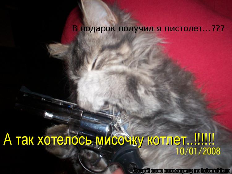 В подарок получил я пистолет...??? А так хотелось мисочку котлет..!!!!!!... Котоматрица: В подарок получил я пистолет...??? А так хотелось мисочку котлет..!!!!!!