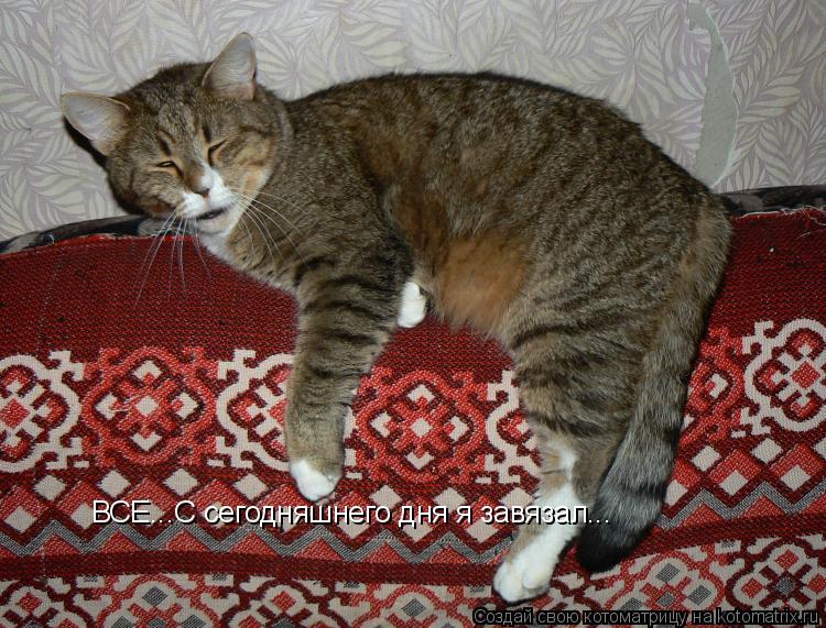 ВСЕ...С сегодняшнего дня я завязал...... Котоматрица: ВСЕ...С сегодняшнего дня я завязал...
