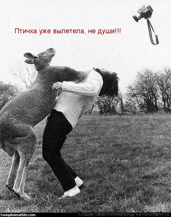 Птичка уже вылетела, не души!!!... Котоматрица: Птичка уже вылетела, не души!!!