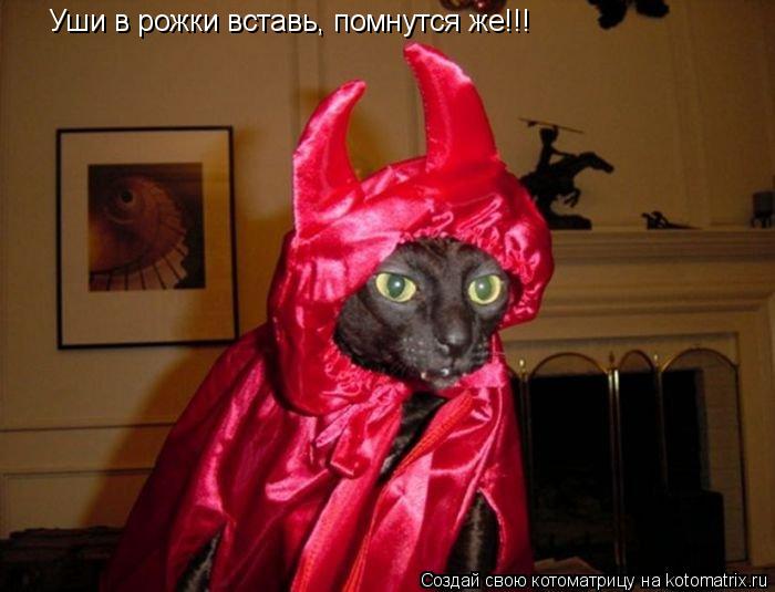 Уши в рожки вставь, помнутся же!!!... Котоматрица: Уши в рожки вставь, помнутся же!!!