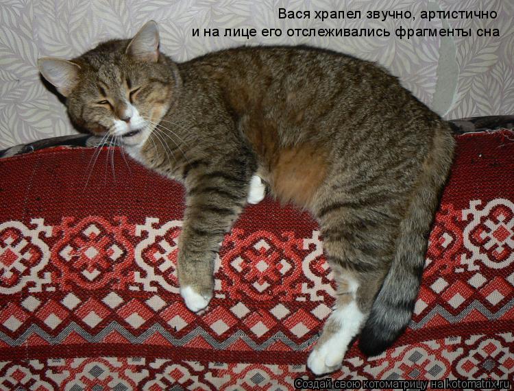 Вася храпел звучно, артистично и на лице его отслеживались фрагменты сна... Котоматрица: Вася храпел звучно, артистично и на лице его отслеживались фрагменты сна