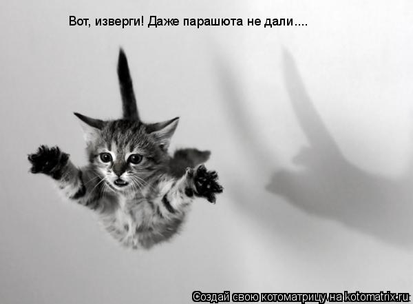 Вот, изверги! Даже парашюта не дали....... Котоматрица: Вот, изверги! Даже парашюта не дали....