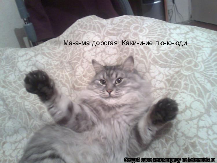 Ма-а-ма дорогая! Каки-и-ие лю-ю-юди!... Котоматрица: Ма-а-ма дорогая! Каки-и-ие лю-ю-юди!