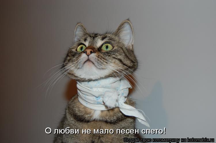 О любви не мало песен спето!... Котоматрица: О любви не мало песен спето!
