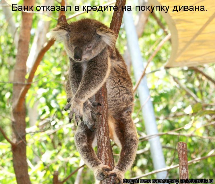 Банк отказал в кредите на покупку дивана.... Котоматрица: Банк отказал в кредите на покупку дивана.