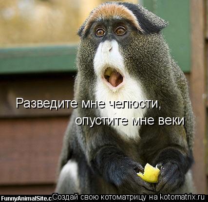 Разведите мне челюсти, опустите мне веки... Котоматрица: Разведите мне челюсти, опустите мне веки
