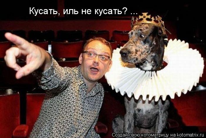 Котоматрица: Кусать, иль не кусать? ...