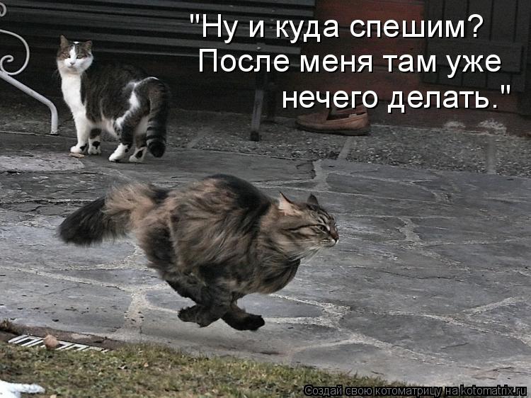 "Ну и куда спешим? После меня там уже нечего делать."... Котоматрица: "Ну и куда спешим? После меня там уже нечего делать."