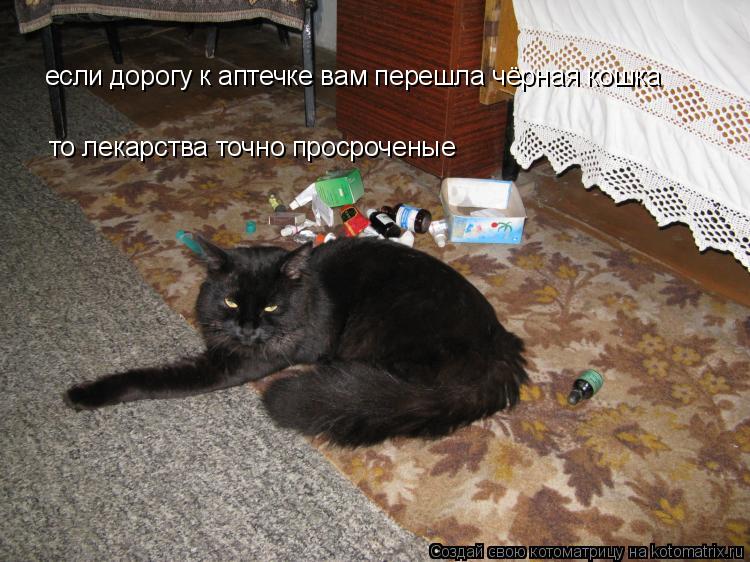 Котоматрица: если дорогу к аптечке вам перешла чёрная кошка то лекарства точно просроченые