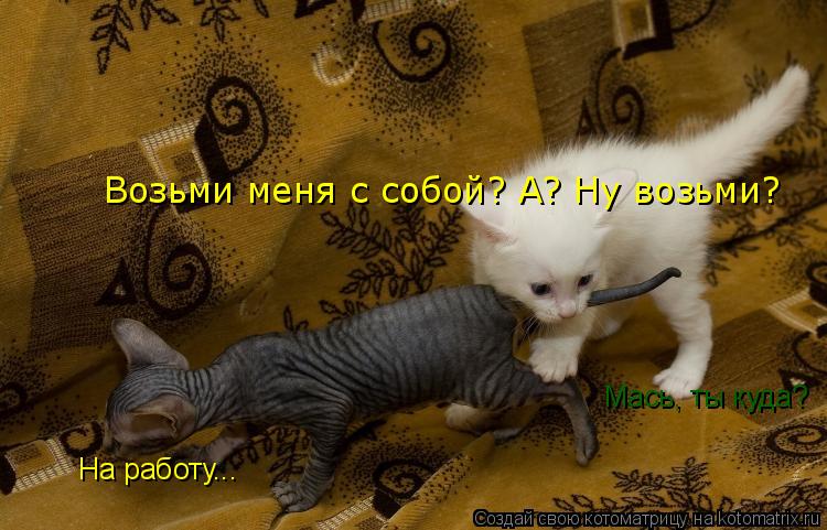 Мась, ты куда? На работу... Возьми меня с собой? А? Ну возьми?... Котоматрица: Мась, ты куда? На работу... Возьми меня с собой? А? Ну возьми?