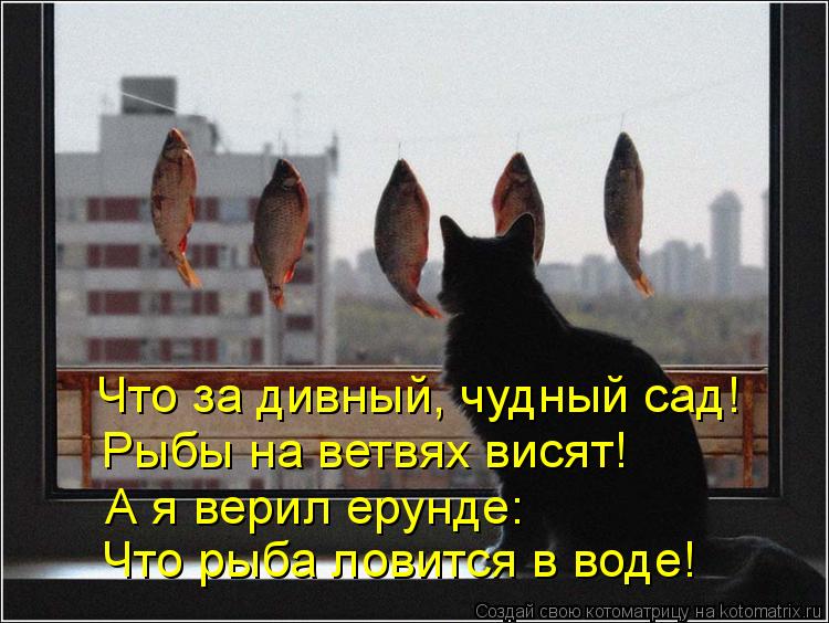 Что за дивный, чудный сад! Рыбы на ветвях висят! А я верил ерунде: Что рыба ловится в воде!... Котоматрица: Что за дивный, чудный сад! Рыбы на ветвях висят! А я верил ерунде: Что рыба ловится в воде!