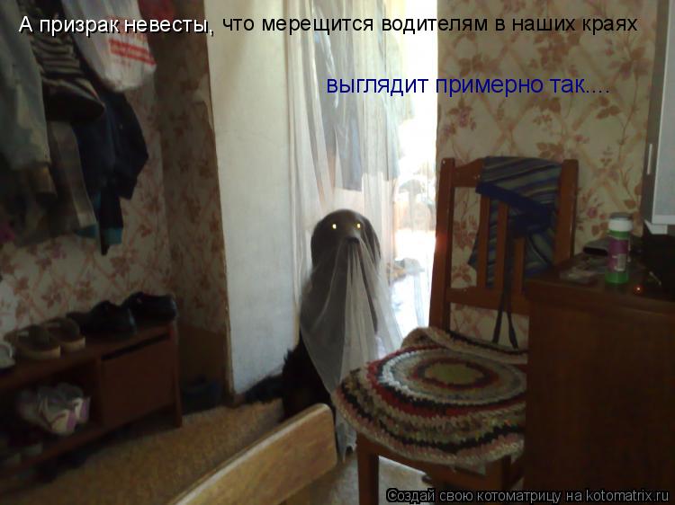 Котоматрица: выглядит примерно так.... А призрак невесты,  что мерещится водителям в наших краях