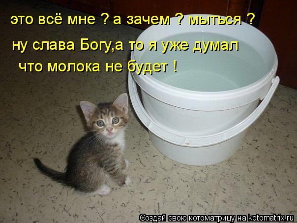 Котоматрица: это всё мне ? а зачем ? мыться ?  ну слава Богу,а то я уже думал   что молока не будет !