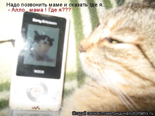 Надо позвонить маме и сказать где я... - Алло , мама ! Где я???... Котоматрица: Надо позвонить маме и сказать где я... - Алло , мама ! Где я???