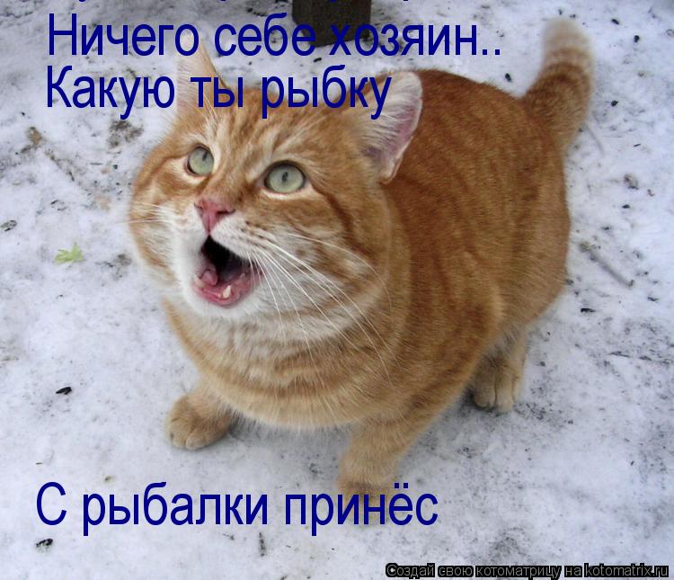 Котоматрица: Ничего себе хозяин.. Какую ты рыбку с рыбалки. Какую ты рыбку  С рыбалки принёс