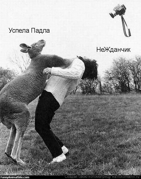 Котоматрица: НеЖданчик Успела Падла