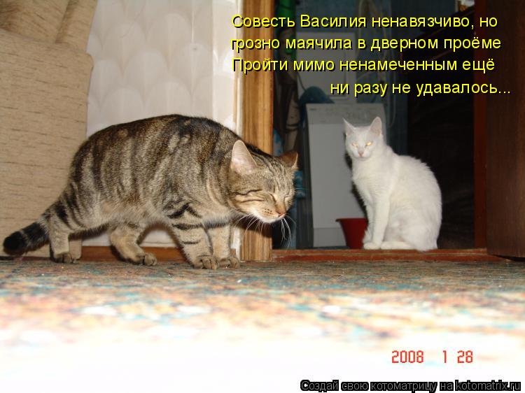 Совесть Василия ненавязчиво, но грозно маячила в дверном проёме Пройти мимо ненамеченным ещё ни разу ... Котоматрица: Совесть Василия ненавязчиво, но грозно маячила в дверном проёме Пройти мимо ненамеченным ещё ни разу не удавалось...