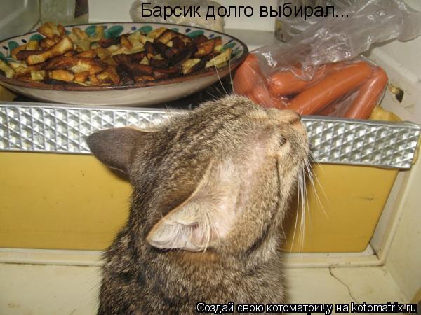 Котоматрица: Барсик долго выбирал...