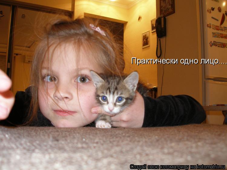Котоматрица: Практически одно лицо....