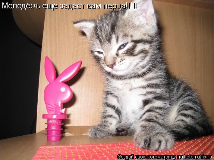 Молодёжь ещё задаст вам перца!!!!!... Котоматрица: Молодёжь ещё задаст вам перца!!!!!