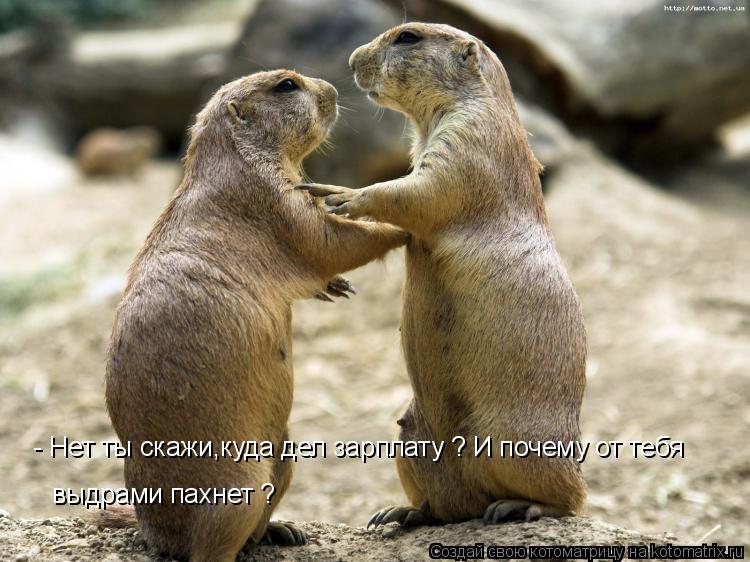 - Нет ты скажи,куда дел зарплату ? И почему от тебя выдрами пахнет ?... Котоматрица: - Нет ты скажи,куда дел зарплату ? И почему от тебя выдрами пахнет ?