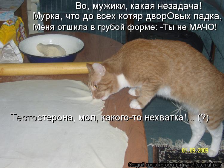 Мурка, что до всех котяр дворОвых падка, Во, мужики, какая незадача! Меня отшила в грубой форме: -Ты ... Котоматрица: Мурка, что до всех котяр дворОвых падка, Во, мужики, какая незадача! Меня отшила в грубой форме: -Ты не МАЧО! стерона, мол, какого-то нехватка!...