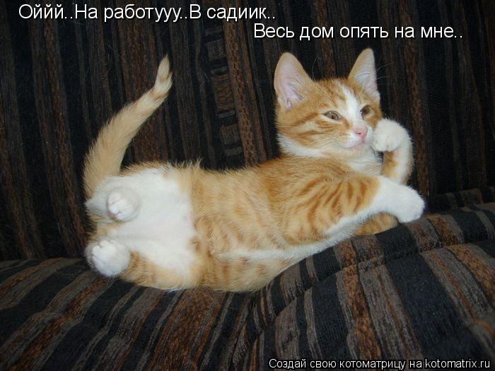 Оййй..На работууу..В садиик.. Весь дом опять на мне..... Котоматрица: Оййй..На работууу..В садиик.. Весь дом опять на мне..