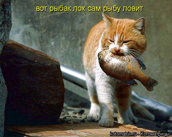 вот рыбак лох сам рыбу ловит... Котоматрица: вот рыбак лох сам рыбу ловит