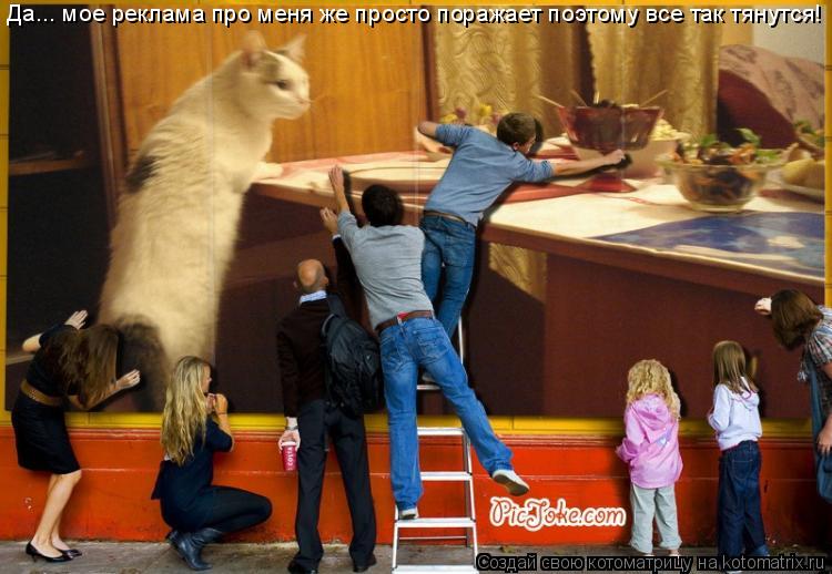 Да... мое реклама про меня же просто поражает поэтому все так тянутся!... Котоматрица: Да... мое реклама про меня же просто поражает поэтому все так тянутся!