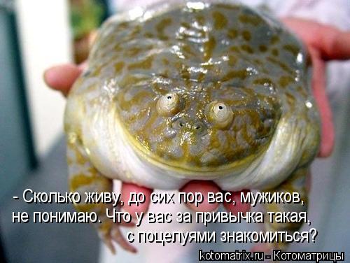 - Сколько живу, до сих пор вас, мужиков, не понимаю. Что у вас за привычка такая, с поцелуями знакоми... Котоматрица: - Сколько живу, до сих пор вас, мужиков, не понимаю. Что у вас за привычка такая, с поцелуями знакомиться?