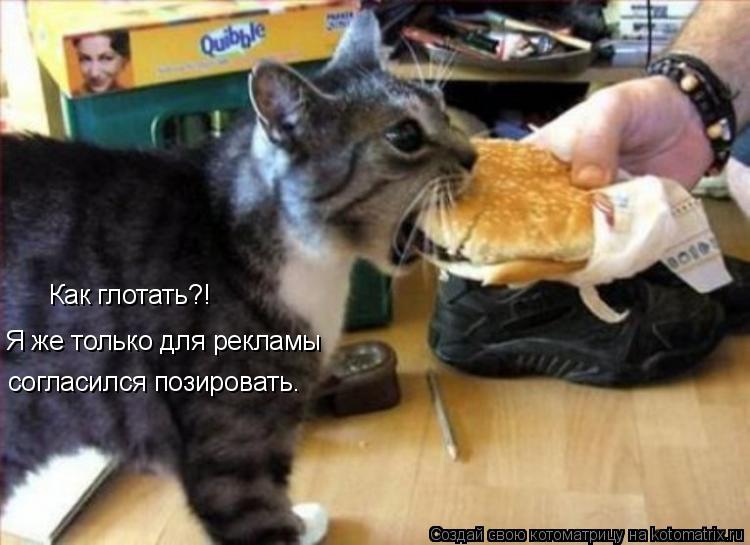 Как глотать?! Я же только для рекламы согласился позировать.... Котоматрица: Как глотать?! Я же только для рекламы согласился позировать.