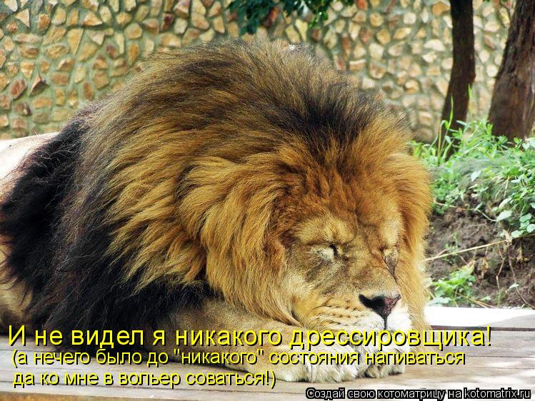 И не видел я никакого дрессировщика! (а нечего было до "никакого" состояния напиваться да ко мне в во... Котоматрица: И не видел я никакого дрессировщика! (а нечего было до "никакого" состояния напиваться да ко мне в вольер соваться!)
