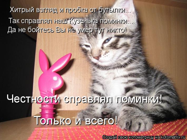 Хитрый взгляд и пробка от бутылки... Так справлял наш Кузенька поминки... Да не бойтесь Вы не умер ту... Котоматрица: Хитрый взгляд и пробка от бутылки... Так справлял наш Кузенька поминки... Да не бойтесь Вы не умер тут никто! Честности справлял поминки! Толь