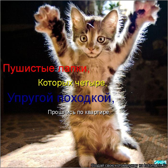 Пушистые лапки, Которых четыре, Упругой походкой, Прошлись по квартире...... Котоматрица: Пушистые лапки, Которых четыре, Упругой походкой, Прошлись по квартире...