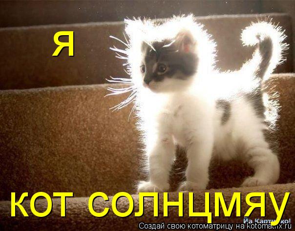 я кот солнцмяу... Котоматрица: я кот солнцмяу