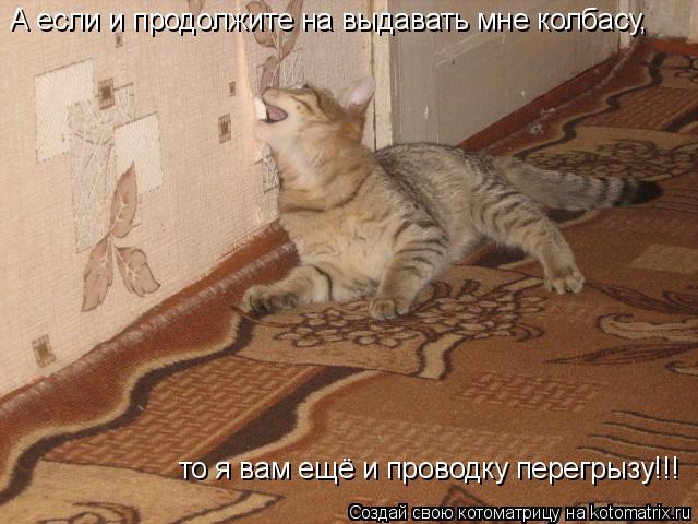 А если и продолжите на выдавать мне колбасу, то я вам ещё и проводку перегрызу!!!... Котоматрица: А если и продолжите на выдавать мне колбасу, то я вам ещё и проводку перегрызу!!!