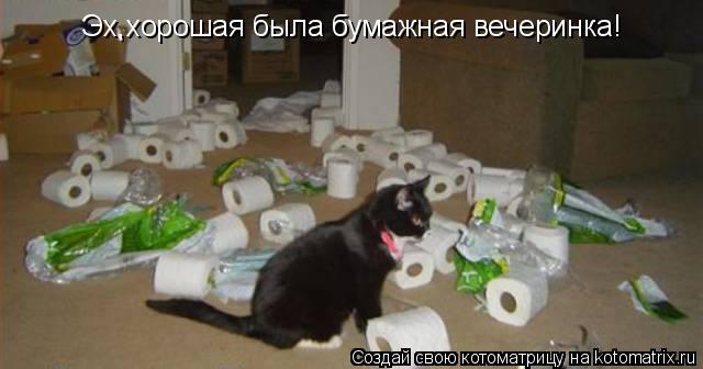 Котоматрица: Эх,хорошая была бумажная вечеринка!