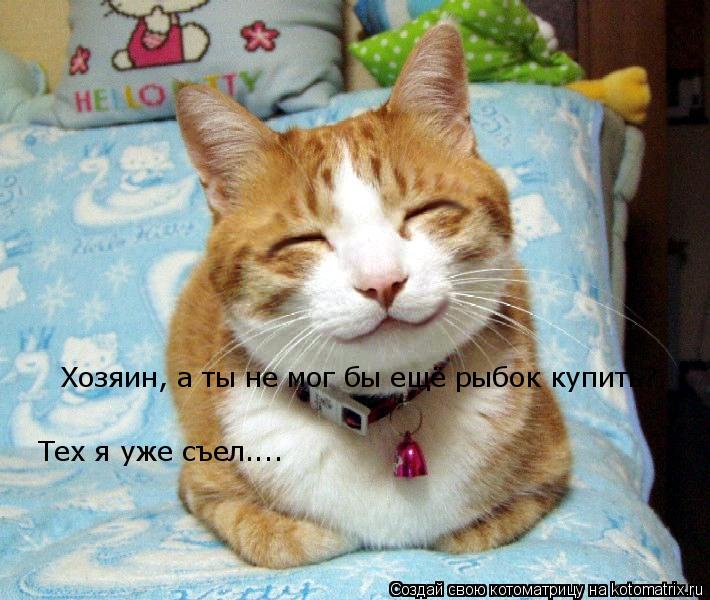 Хозяин, а ты не мог бы ещё рыбок купить? Тех я уже съел....... Котоматрица: Хозяин, а ты не мог бы ещё рыбок купить? Тех я уже съел....