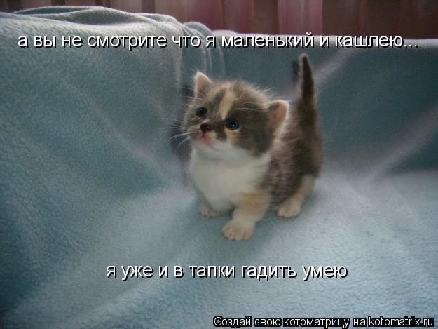 а вы не смотрите что я маленький и кашлею... я уже и в тапки гадить умею... Котоматрица: а вы не смотрите что я маленький и кашлею... я уже и в тапки гадить умею