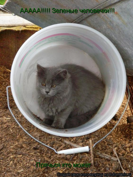 ААААА!!!!! Зеленые человечки!!! Прячься кто может... Котоматрица: ААААА!!!!! Зеленые человечки!!! Прячься кто может