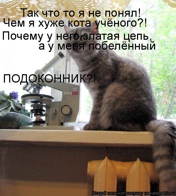Так что то я не понял! Чем я хуже кота учёного?! Почему у него златая цепь, а у меня побелённый ПОДО... Котоматрица: Так что то я не понял! Чем я хуже кота учёного?! Почему у него златая цепь, а у меня побелённый ПОДОКОННИК?!