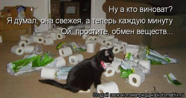Ну а кто виноват? Я думал, она свежея, а теперь каждую минуту Ой, простите, обмен веществ...... Котоматрица: Ну а кто виноват? Я думал, она свежея, а теперь каждую минуту Ой, простите, обмен веществ...