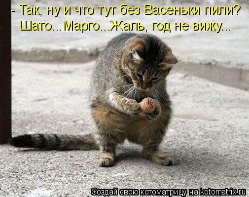 - Так, ну и что тут без Васеньки пили? Шато...Марго...Жаль, год не вижу...... Котоматрица: - Так, ну и что тут без Васеньки пили? Шато...Марго...Жаль, год не вижу...