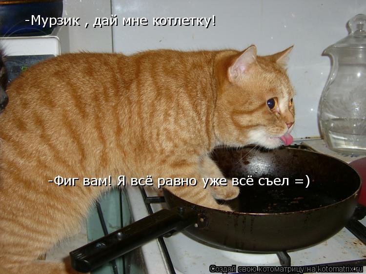 -Фиг вам! Я всё равно уже всё съел =) -Мурзик , дай мне котлетку!... Котоматрица: -Фиг вам! Я всё равно уже всё съел =) -Мурзик , дай мне котлетку!