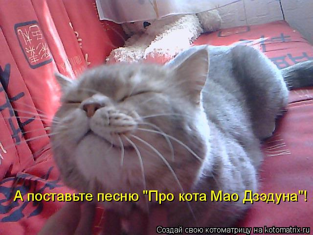 А поставьте песню "Про кота Мао Дзэдуна"!... Котоматрица: А поставьте песню "Про кота Мао Дзэдуна"!