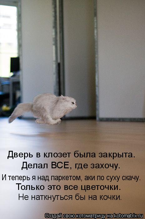 Дверь в клозет была закрыта. Делал ВСЕ, где захочу. Только это все цветочки. Не наткнуться бы на ко... Котоматрица: Дверь в клозет была закрыта. Делал ВСЕ, где захочу. Только это все цветочки. Не наткнуться бы на кочки. И теперь я над паркетом, аки по суху с