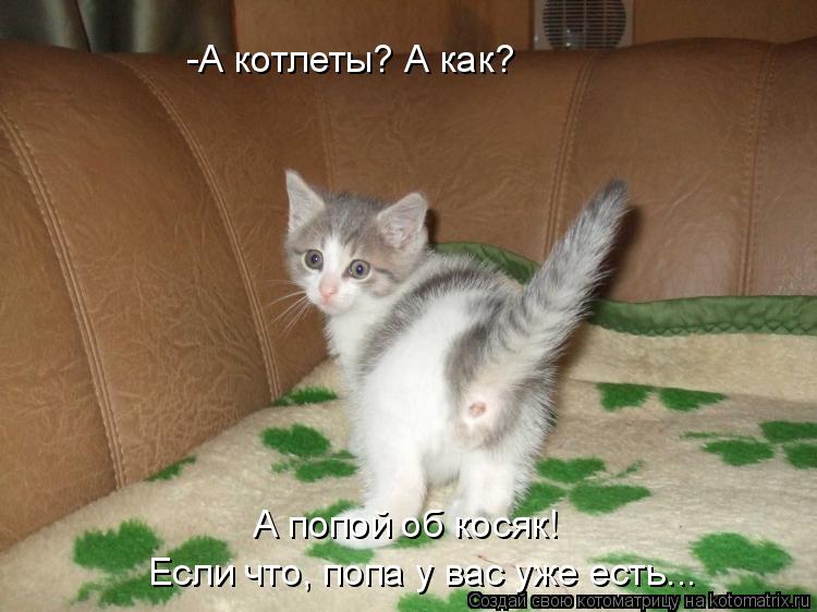 -А котлеты? А как? А попой об косяк! Если что, попа у вас уже есть...... Котоматрица: -А котлеты? А как? А попой об косяк! Если что, попа у вас уже есть...