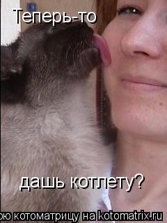 Теперь-то дашь котлету?... Котоматрица: Теперь-то дашь котлету?