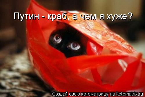 Путин - краб, а чем я хуже?... Котоматрица: Путин - краб, а чем я хуже?